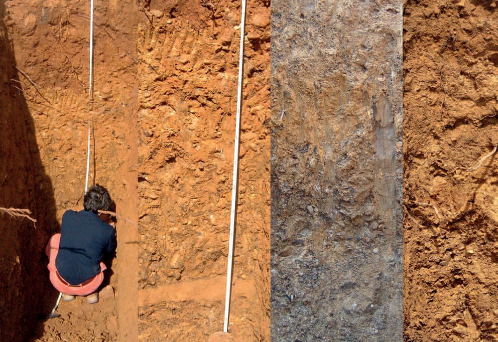 Plate III — Soil profiles of the two vineyards