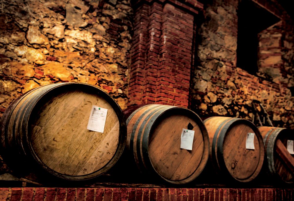 Plate VII — The barrel cellar of Villa Antonietta